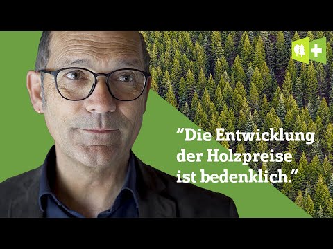 New Update Wie sieht die Zukunft der Holzpreise aus?