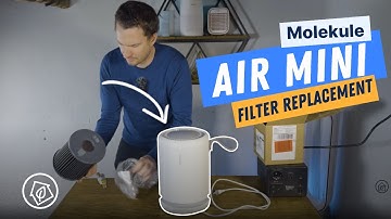 How to Change the Filter on Your Molekule Air Mini