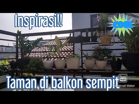 Video: Taman Di Balkon. Bagian 1