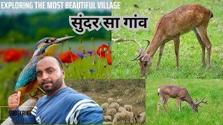 Indian Village Tour Desi Village Daily Life Vlogs
