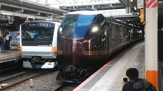E655系 和 団臨 立川駅