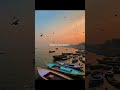 Oh Sahib ❤ | Zain Zohaib | Aesthetic Lyrics | #shots​ #lyricssong​ #explore​ #vibe​