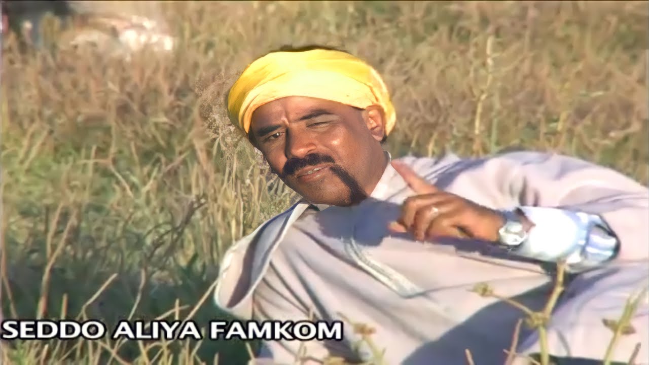 Al Alami - SEDDO ALIYA FAMKOM  | Music, Rai, chaabi,  3roubi - راي مغربي -  الشعبي