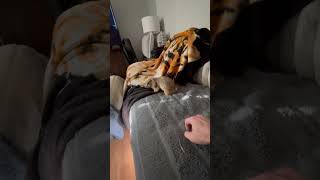 IMG 6046