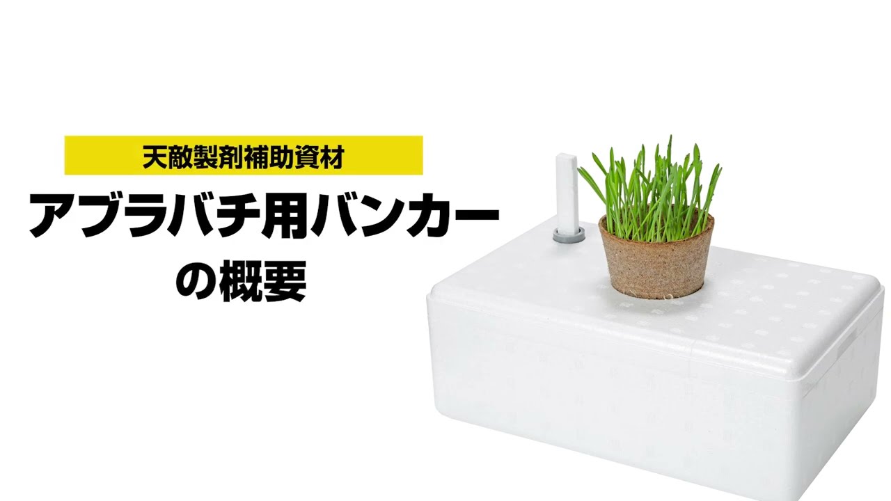 敵物適所 アブラバチ用バンカー（楽天市場むし工房） - Agrisect（アグリセクト