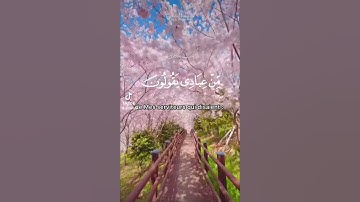 تلاوة مباركة بصوت قوي و جميل #اكسبلور #المصحف #القرآن_الكريم #الرحمن