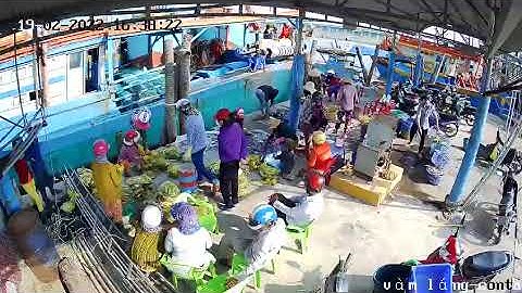 Bến Khôi My - Vàm Láng cào ngày sông cầu ghe vào mỗi ngày cá tôm hải sản tươi sống, giá rẻ bất ngờ