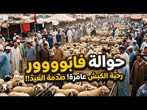 فينكم الصحاب كازا اليوم الحولي رخيص بزاف غير لمبغاش يشري الحولي 