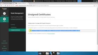 Enterprise Puppet Agent Setup