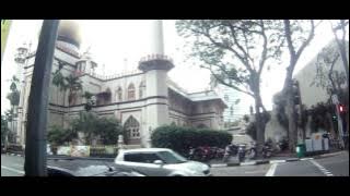 Vlog Sing-a-pure 12/13/14.3.2012