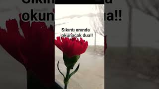 Işsan Şfetbeniöneçıkar Ştek