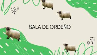 Explotación De Ovino De Raza Latxa Explotación Neiker