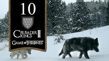 The Tourney Of White Knife - Let