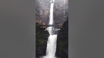 سورة الفجر @الشيخ الشرقاوي 