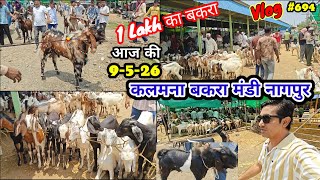 Kalamna Bakra Mandi Nagpur || कलमना बकरा मंडी नागपुर 9-5-2026 || Bakra Mandi Nagpur ||