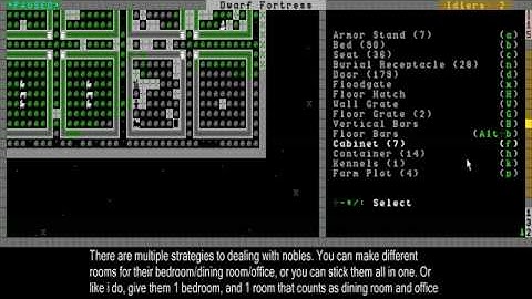 Dwarf Fortress Video Tutorial part 21  - Nobles & managing