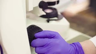 Microscope Adjustment Knob Stock Video