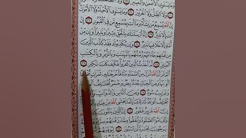 سورة فاطر من الآية (١٩) إلي الآية (٣٠)