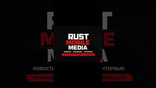 Rust Mobile нужен был этот проект.