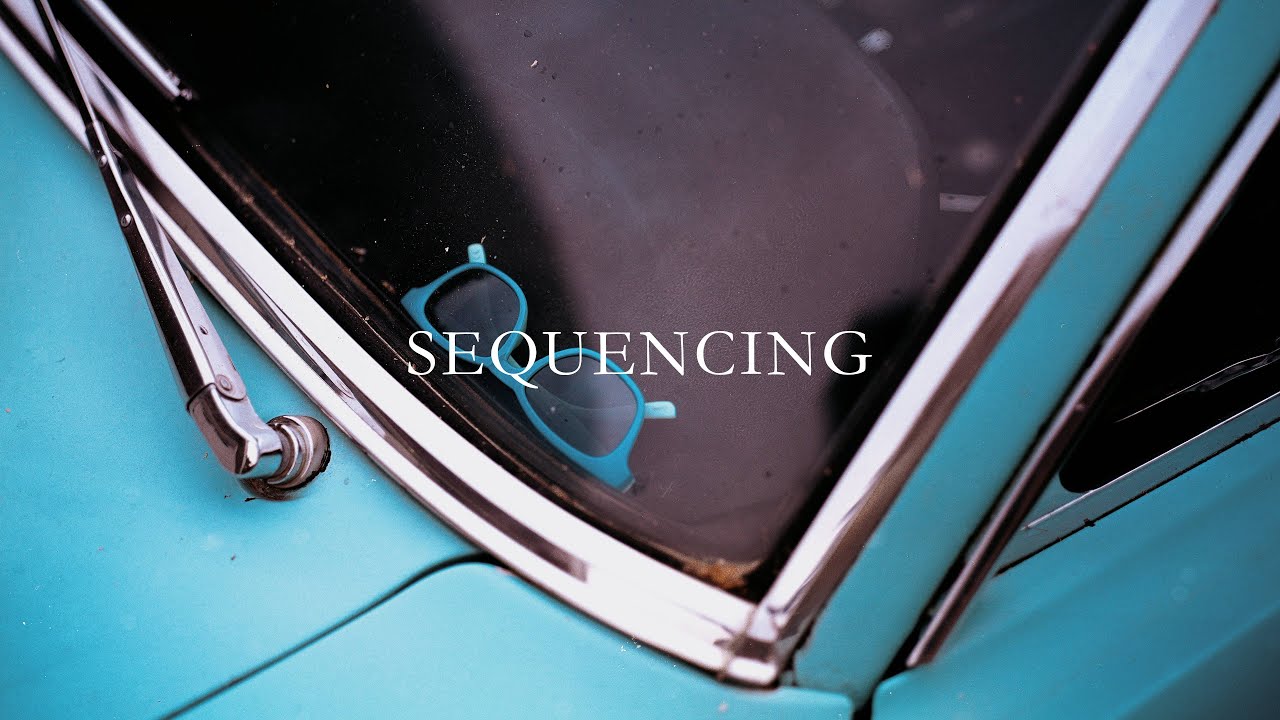 Sequencing New Work - Pentax 67 + HP5