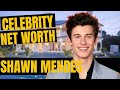 SHAWN MENDES NET WORTH, Lifestyle &amp; Bio 2020 | Celebrity Net Worth