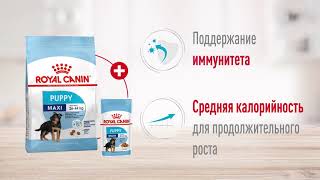 Royal Canin maxi starter, Royal Canin Puppy Maxi, Royal Canin Maxi Adult