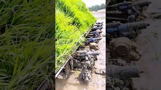 Download Lagu Rice planting process with modern machines #shorts MP3 Download Lagu Rice planting process with modern machines #shorts MP3