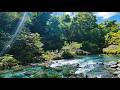 Calming River Flow ASMR 🌊 Pure Water Sounds – No Rain No Music for Sleep &amp; Focus