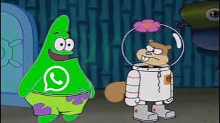 WhatsApp Patrick