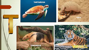 O que podemos encontrar na natureza com as letras do alfabeto?