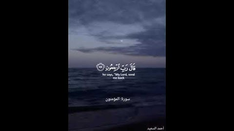 وقل ربي أعوذ بك من همزات الشياطين ⚘️🪷 القارئ هيثم الدخين #حالات_واتس