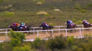 Vidéo de la course PMU PRIX PLAY SOCCER 6, 10 AND 13 PINNACLE STAKES