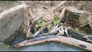 Unclogged Culvert Drain - Removal Debris Clogged Culvert Drain Water To Farm In The Dry Season by Clean  Daily12M 13,850 views 1 month ago 9 minutes, 55 seconds