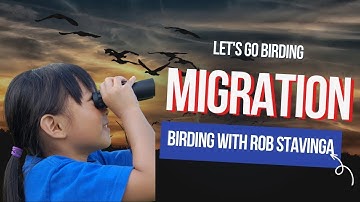 Bird Migration: When, Where and Why Birds Migrate