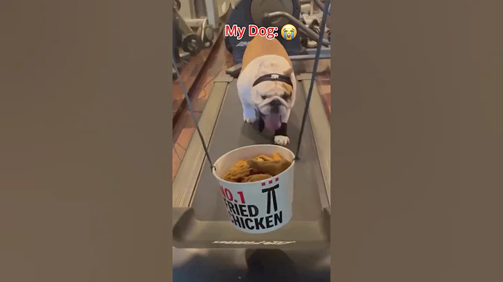 My Dog Vs. My Friends Dog 🤣🐶🐩