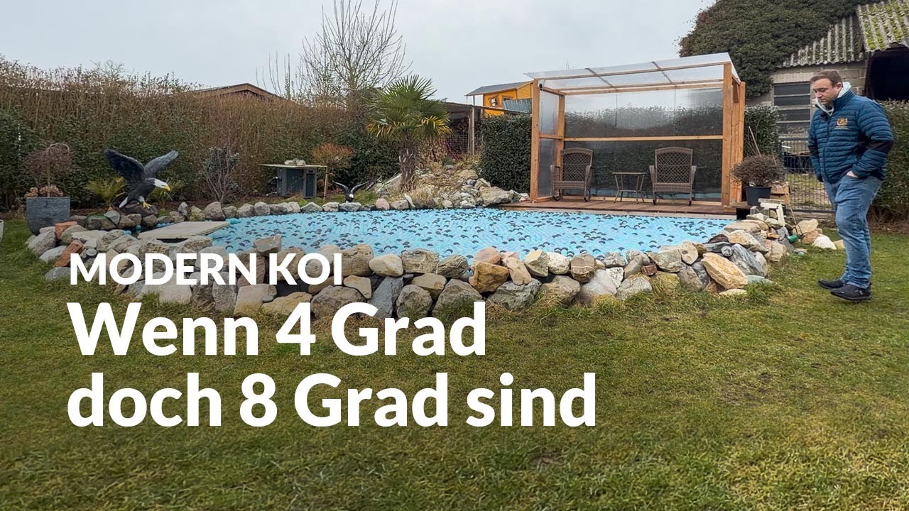 Georgs Teich im Winterbetrieb | Modern Koi Blog #7911