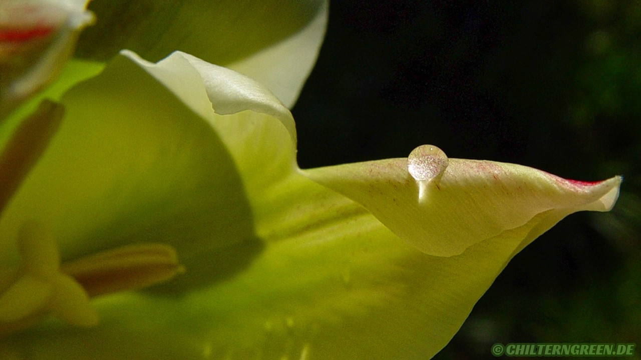 Für Julia - IX (Entspannung ohne KI / Relaxation without AI)