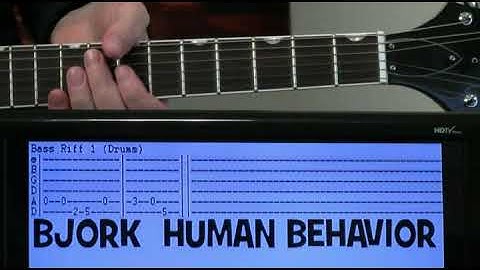Human Behaviour Guitar version - Guitar performance video thumbnail