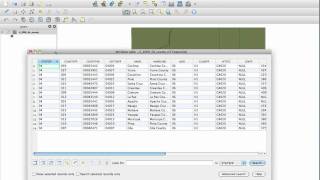 Opening and looking at Census shapefiles on QGIS
