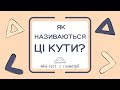 Як називаються цi кути? Міні-тест з геометрії (5 клас)