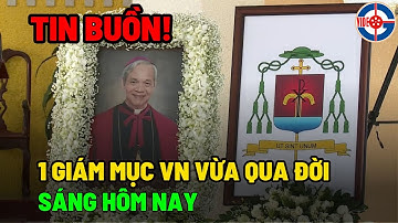 Tin Mới! Xót xa 1 Giám Mục Việt Nam Vừa Qua Đời - Xin Cầu Nguyện!