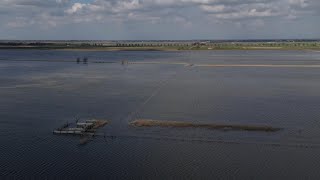 The Nene Washes: The smell of the ocean!