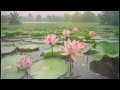 Boost Your Aura l Attract Positive Energy Meditation Music, Chakra Balancing & Healing Music