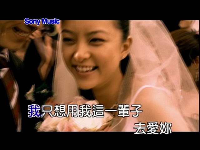 王力宏Forever Love (Official Video Karaoke) class=