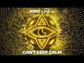 Miniature de la vidéo de la chanson Can't Keep Calm