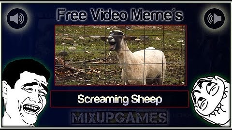 [Video Meme] Screaming Sheep - Download Link | Free to use
