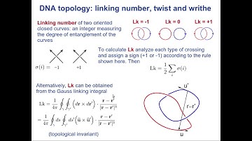 Statistical Mechanics of DNA 01