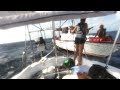 MAYDAY Rescued at Sea |  82 Beau and Brandy Sailing