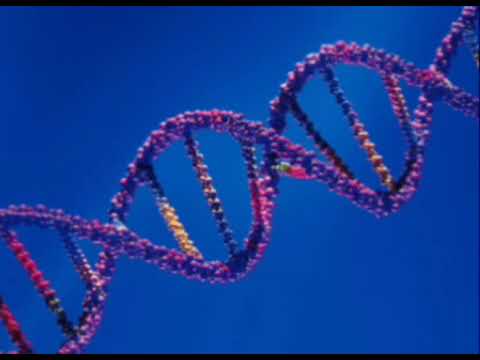 (Audiobook) Βιολογία Κατεύθυνσης