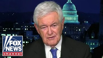 Newt Gingrich: Democrats are 